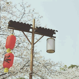 美国三级日本三级久久99
